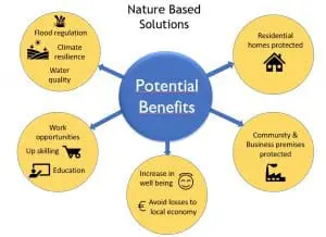 Benefits of NBS