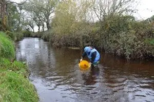 Releasing fish into river after survey.