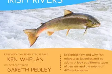 FISH-MIGRATION-WEBINAR-30June2021-scaled-368x245