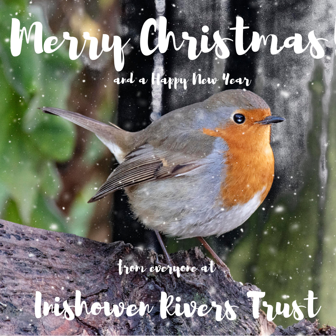 Happy Christmas Insta
