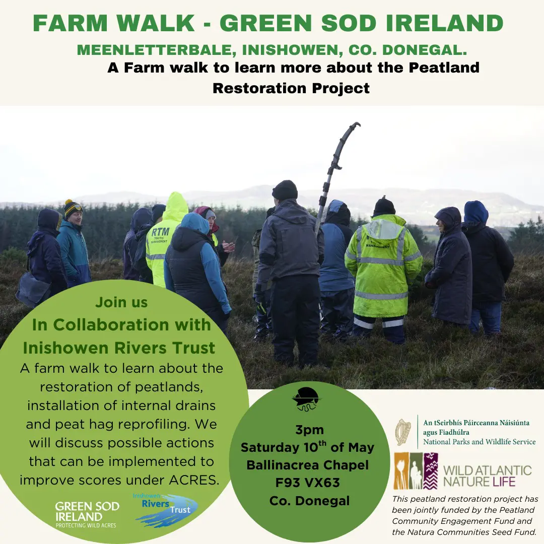 Green sod farm walk