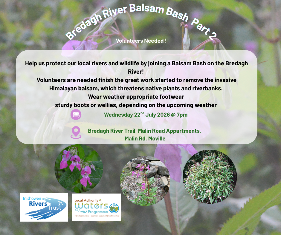 Copy of Bredagh River Balsam Bash (Facebook Post)