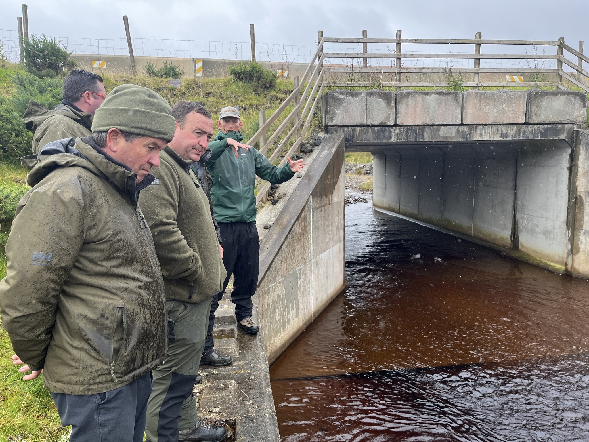 fish passage