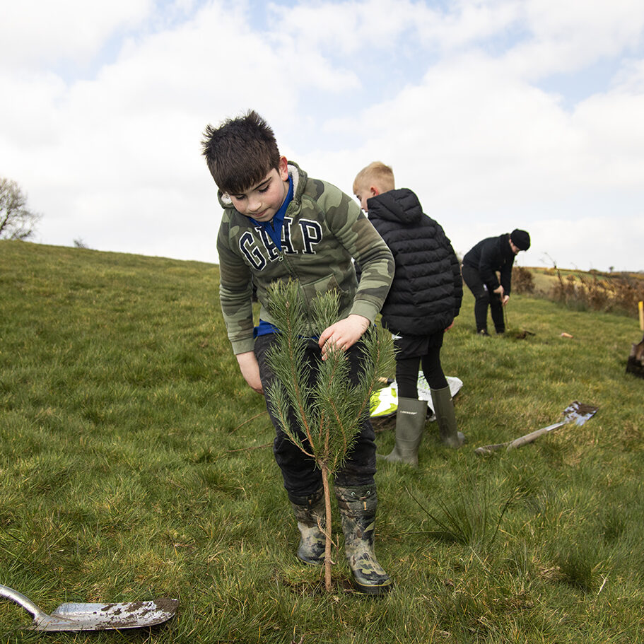 Boy-planting-tree-C