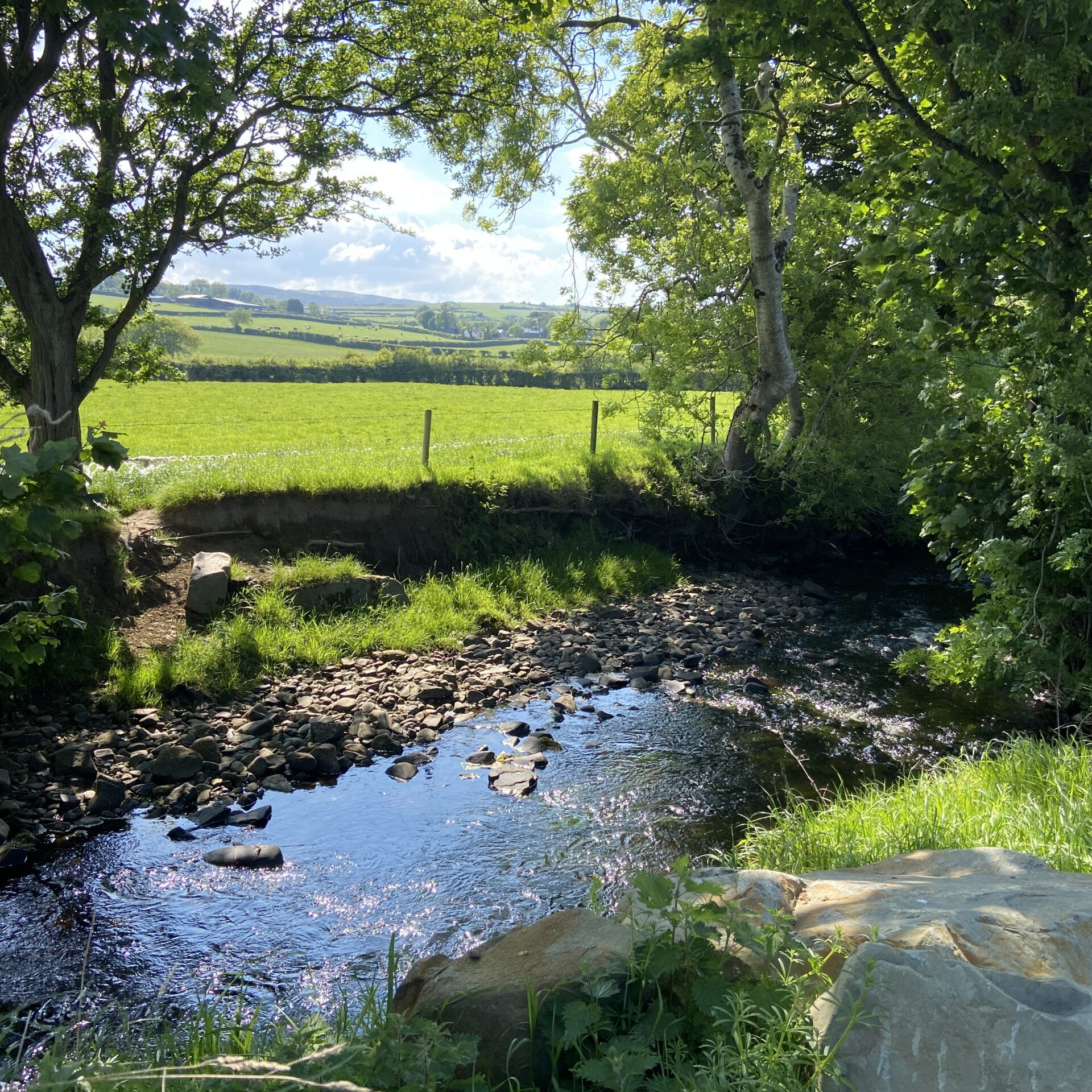 Inishowen River