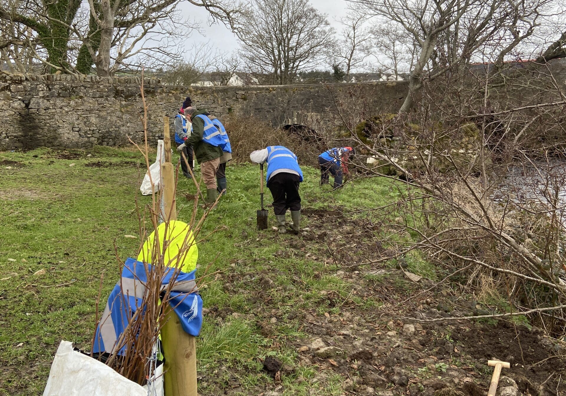 TREE PLANTING 04-02-2023 5353