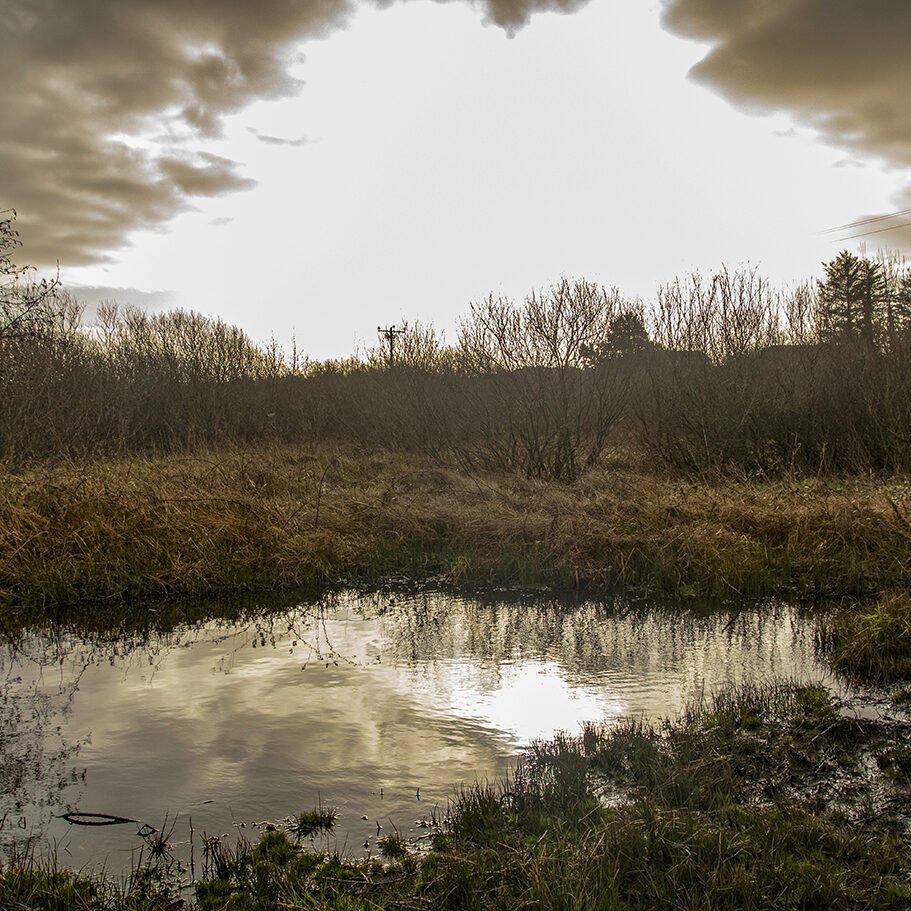 Shargore Pond